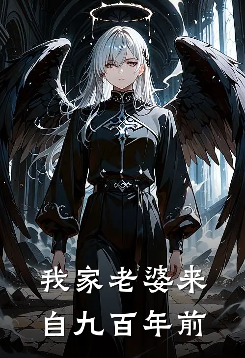 我家老婆来自九百年前