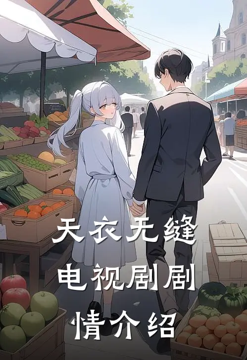 天衣无缝电视剧剧情介绍