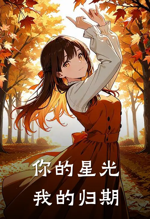 你的星光我的归期